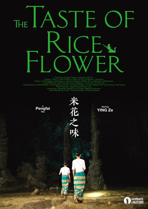 函授英语学位证有用吗